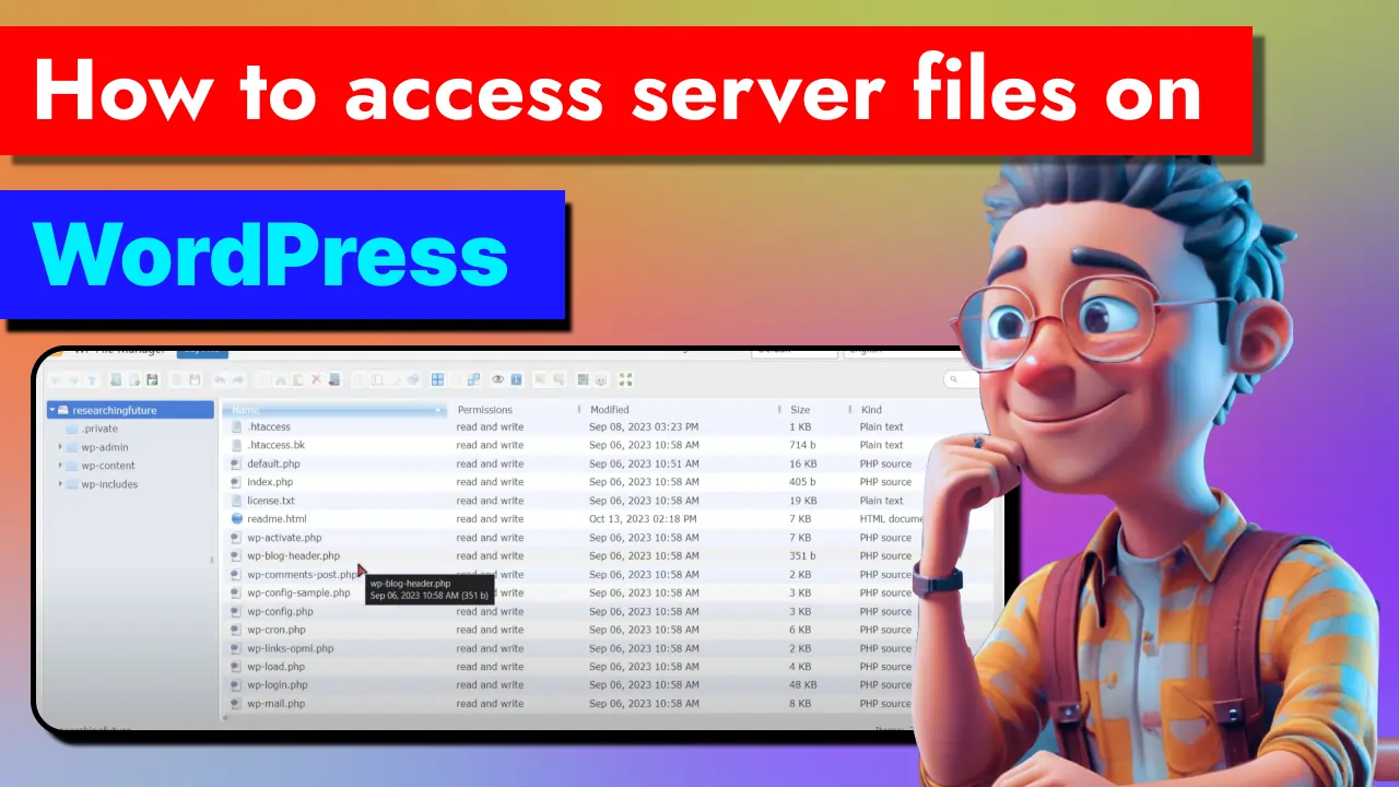 access server files on wordpress