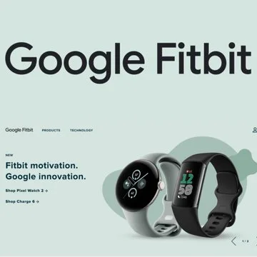 Google Fitbit App